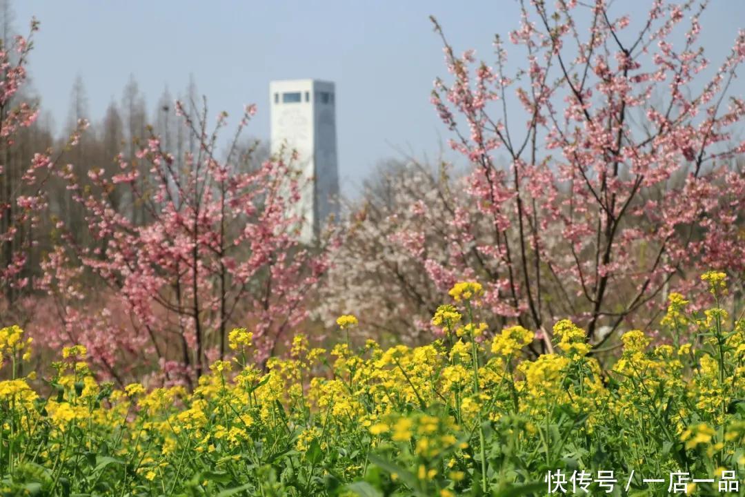 花博南园有多美？带您抢鲜看！