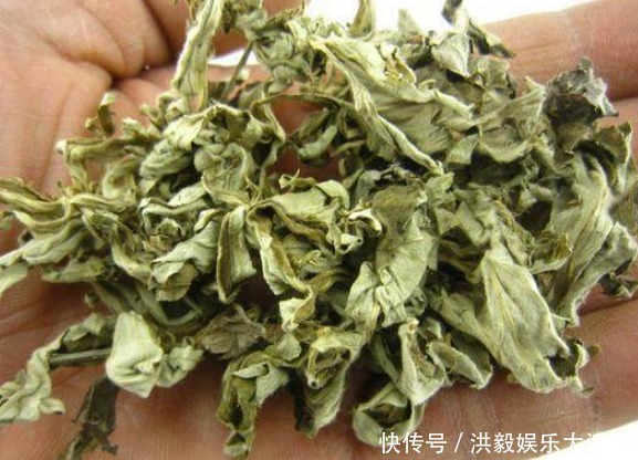 阿姨天天用艾草泡脚，坚持半个月后，身体发生了惊喜的变化