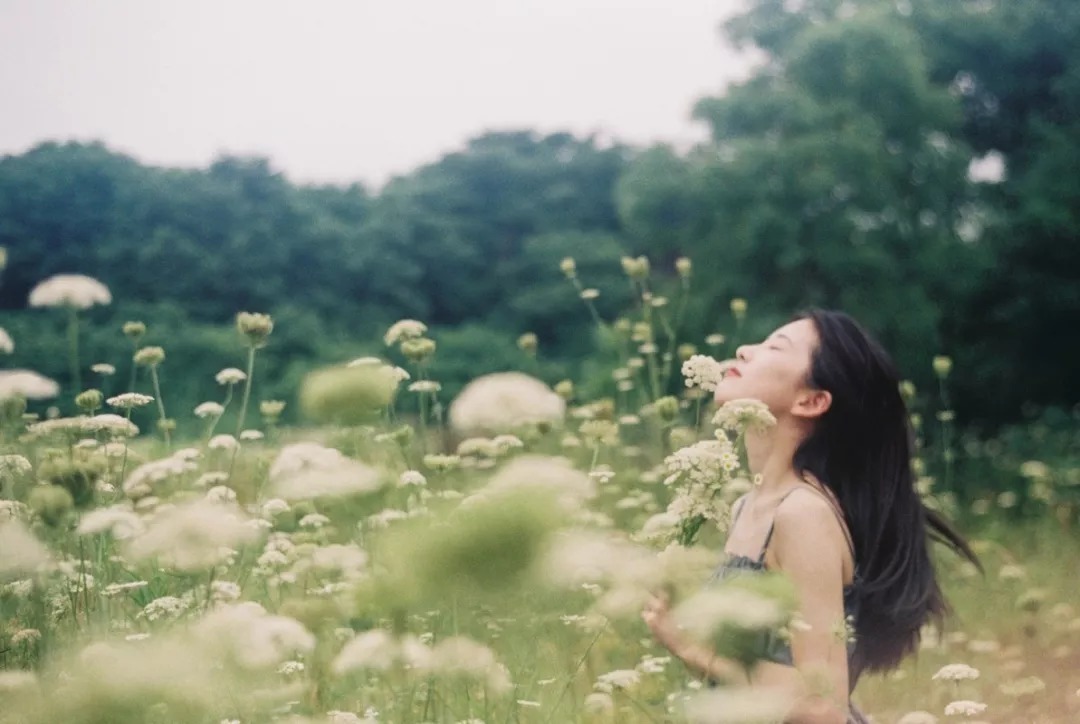 季羡林|世界上最便宜的长寿药，就一个字！