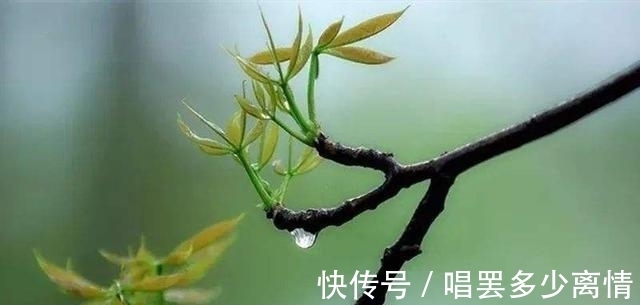 天街小雨润如酥#春日，最宜出游，几首初春小诗，感悟最美的风景