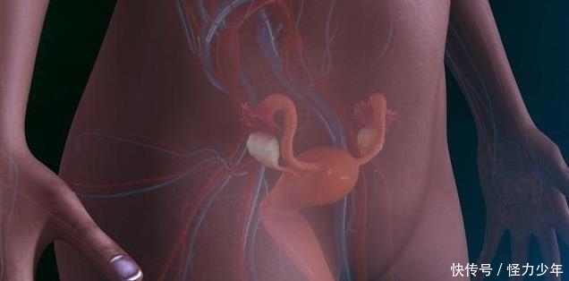 姬松茸浓缩|感染HPV,身体出现2种疼痛,或是宫颈癌可能,要及时阻止