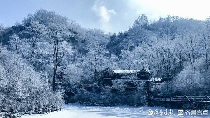 雾凇|玉树琼枝宛若仙境！济南九如山现绝美雾凇奇观