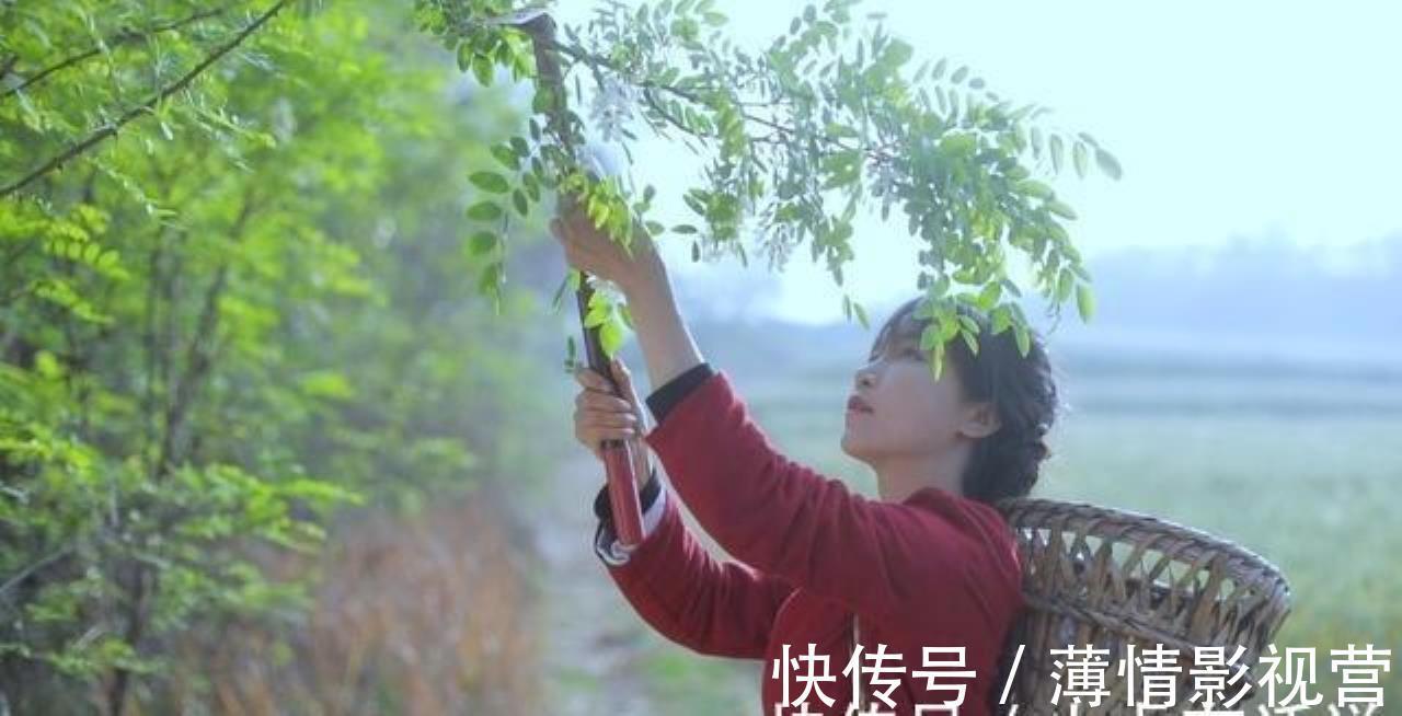 李子柒与微念将对簿公堂,是微念吃相难看,还是李子柒要求太多?-