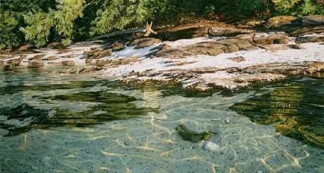 湖底@她画了一片湖水,波光粼粼,放大5倍后,专家懵了:这根本不是画