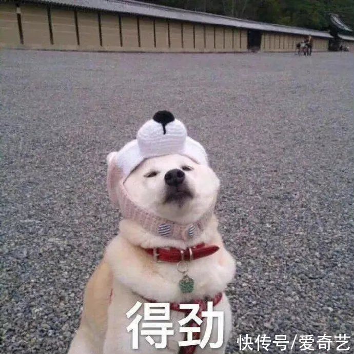 河洛|沉浸式探索综艺《登场了！洛阳》今日开播，汪涵携探索团寻河洛文明！