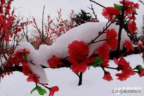 孩子一辅导学习就好，不辅导就下滑的厉害怎么办，总不能天天辅导？