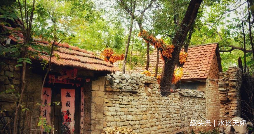 月子|“你嫁了人该干活”坐月子依旧做13人晚饭,女子砸烂锅碗说再见