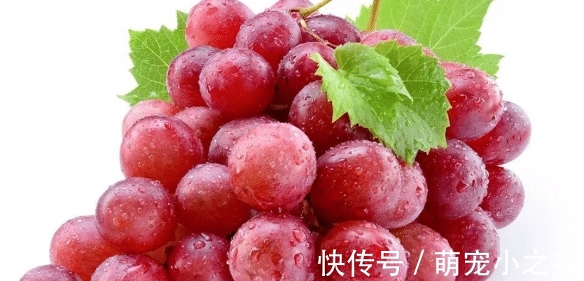 果农|吃葡萄时，用盐还是面粉洗好？果农：错，该这样洗，吃着才放心