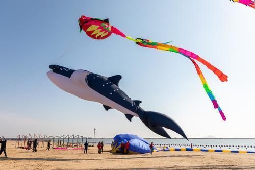 秋风|秋风起,城市沙滩“筝”奇斗艳,“金山杯”全国运动风筝锦标赛拉开帷幕