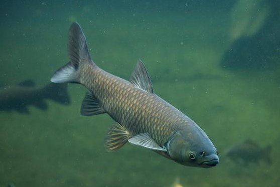 实用|夜钓的一些经验助你成功爆护,非常实用