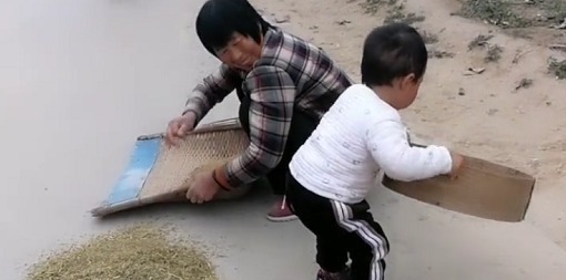 干活|“勤劳奶奶”带娃干农活火了,萌娃“尽情摇摆”的模样超起劲