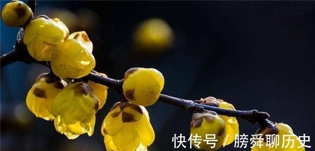 释义|人生有四悲四喜,人生“三惜”又是什么?