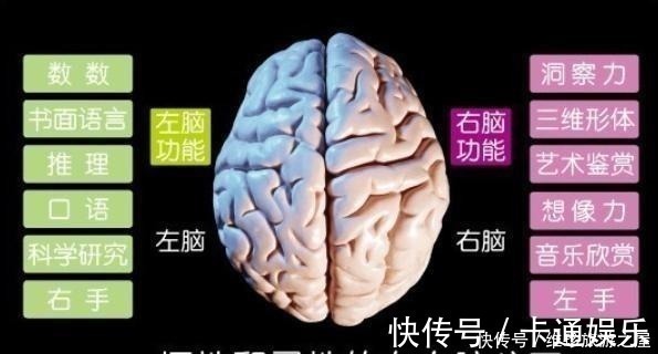 达芬奇|孩子有这3种表现,说明右脑很发达,好好培养将来会成为“学霸”