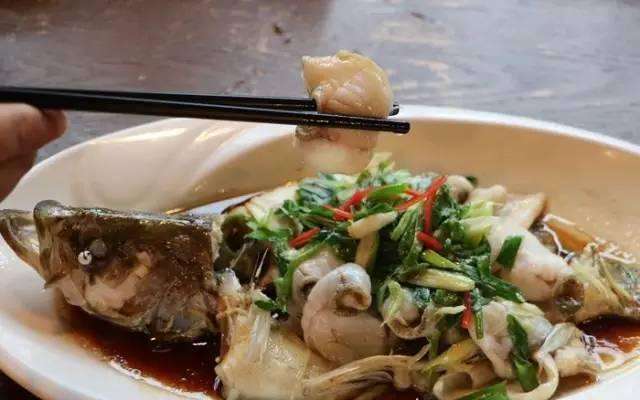 身体|常吃鱼肉的人,身体都很好!但2种鱼,不建议买,也不建议吃