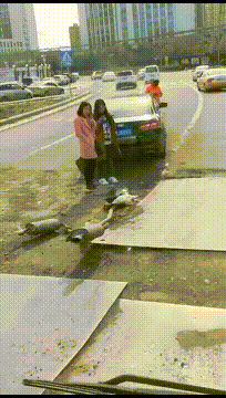 |搞笑GIF:找了一个待驾,我是不是该请她喝一杯