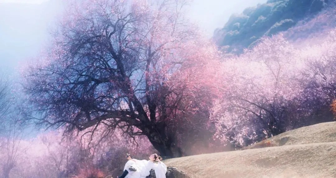 天涯|一首《天涯》仅仅二十个字,是如何唯美地道尽李商隐悲惨一生的?