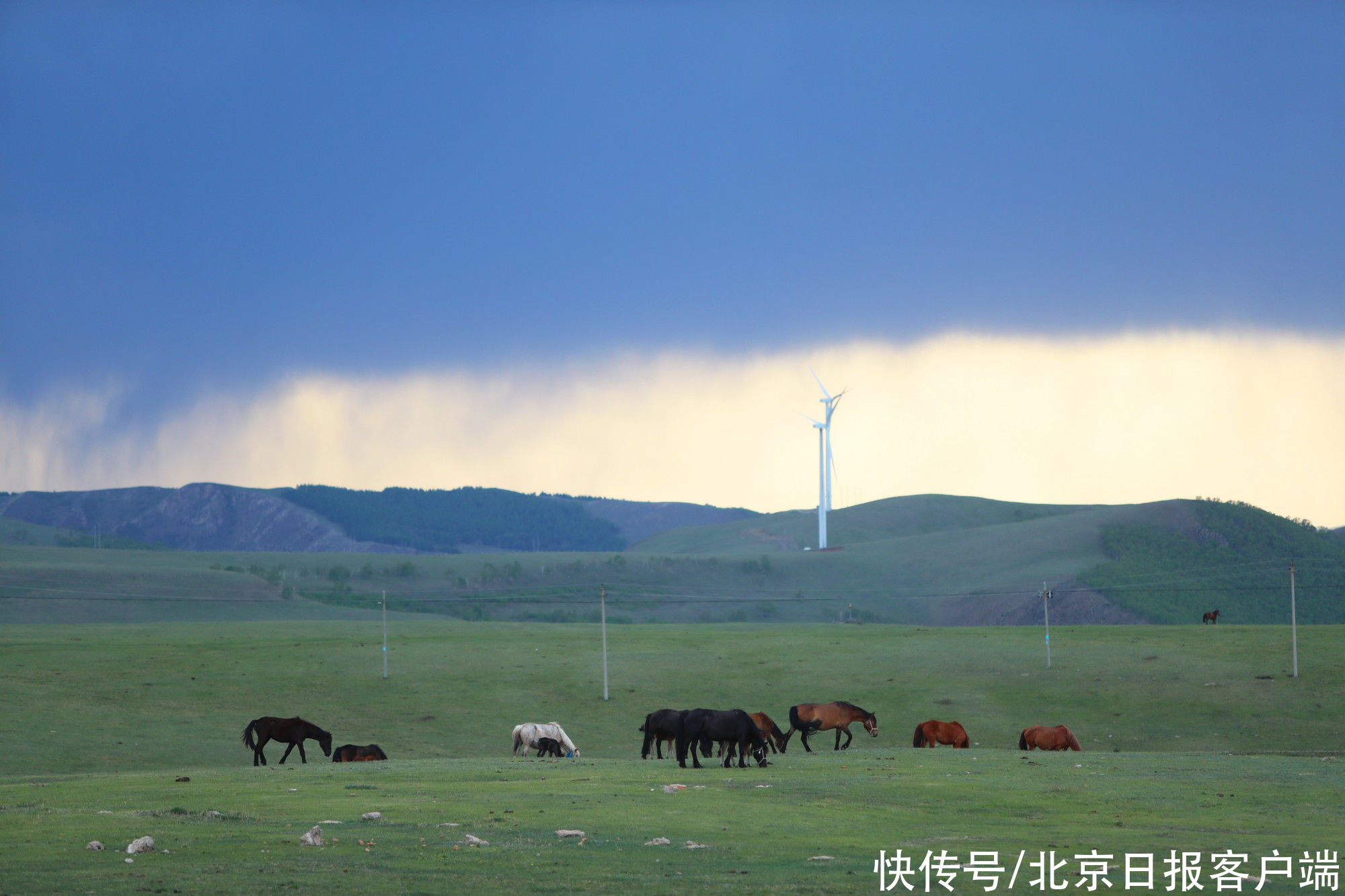 呼和浩特 七盟市在京力荐黄河“几字弯”从红色之旅到大漠胡杨 五条线路任君游