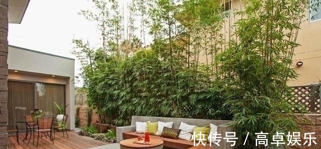 泳池|家里有个院子,就要这样设计,美的就像世外桃源