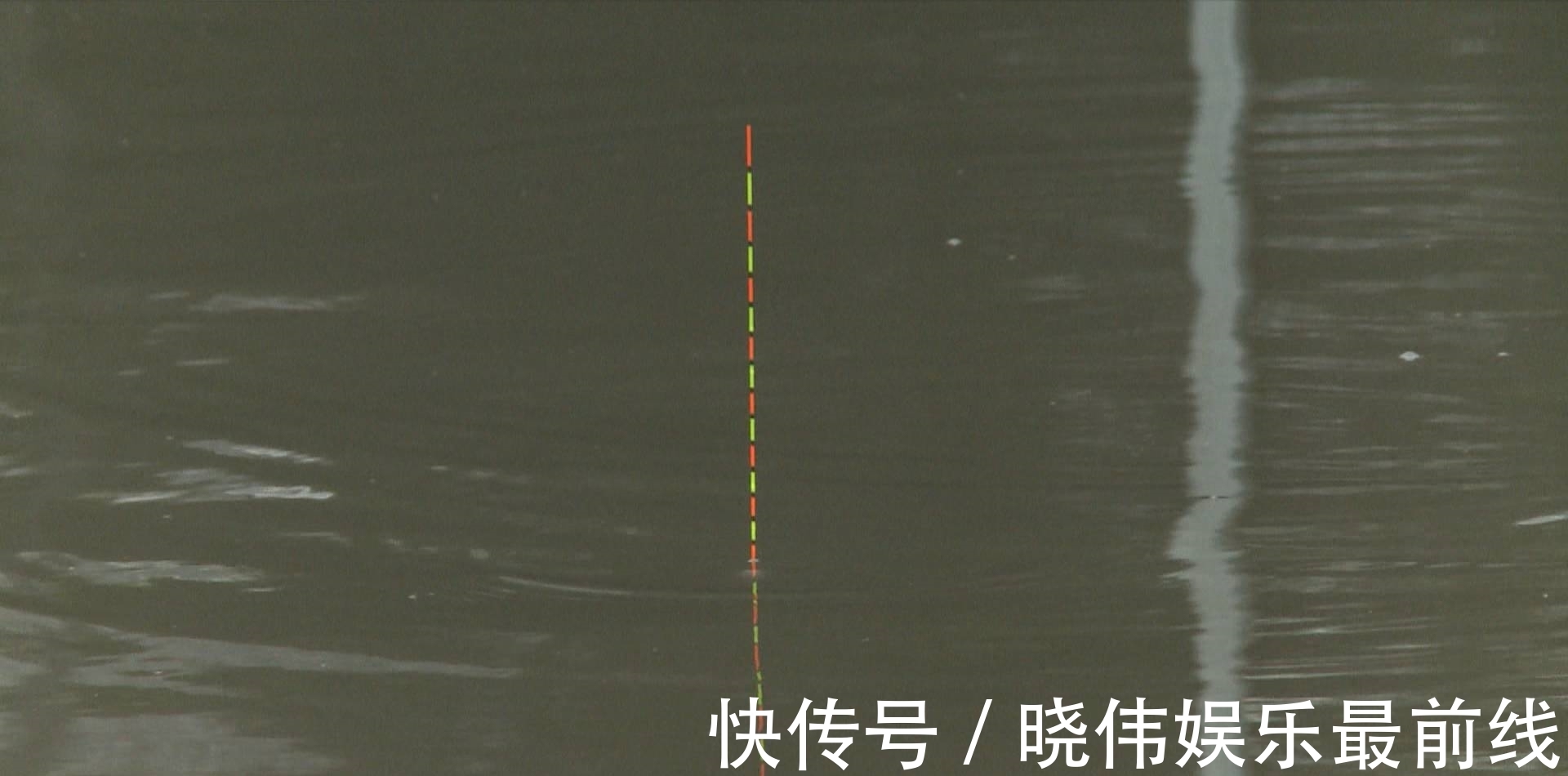 弄明白这三个原因,就知道了,为什么说野钓用漂,一定要选大的