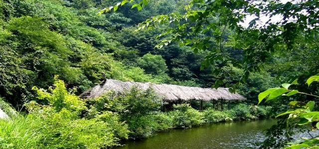 乡村景区|武汉有一处乡村景区，距离市中心85公里，被称为武汉最美的乡村