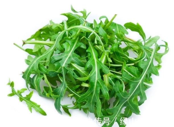 高钙|又到挖野菜的季节,农村这4种高钙野菜不可错过,不吃就太可惜