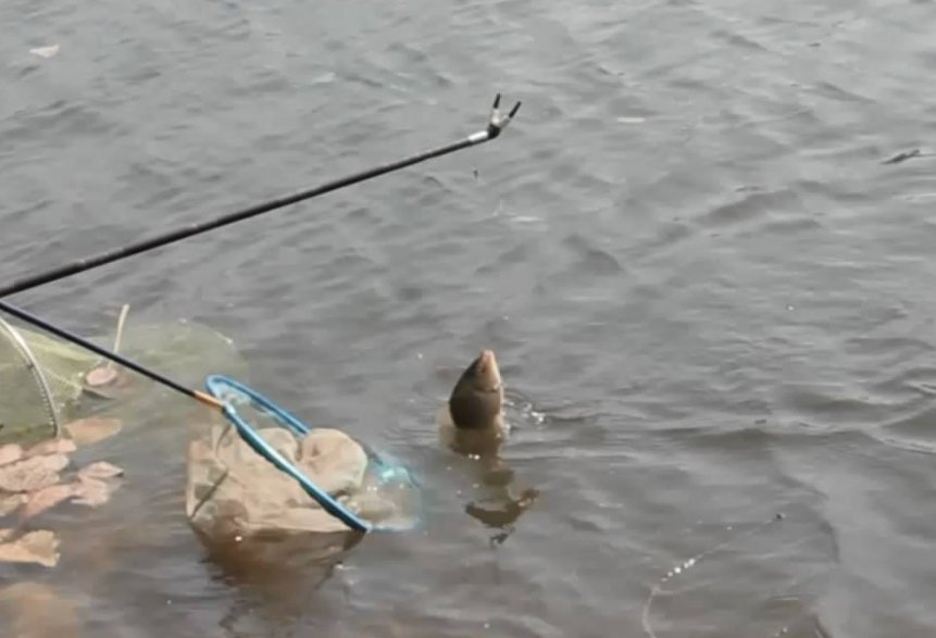 冬季钓鱼不好钓？饵料搭配有讲究，这样搭配不愁钓不到鱼