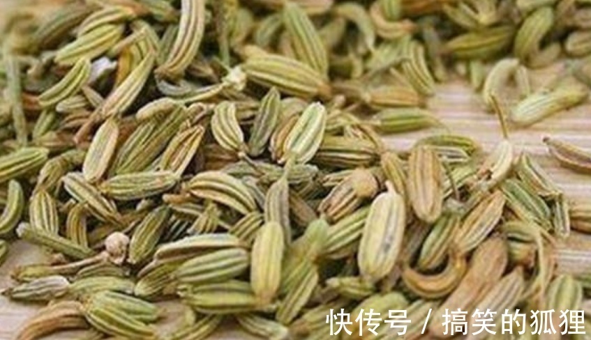 薏米|中医道十人九湿,去湿最管用的不是薏米,而是“它”!