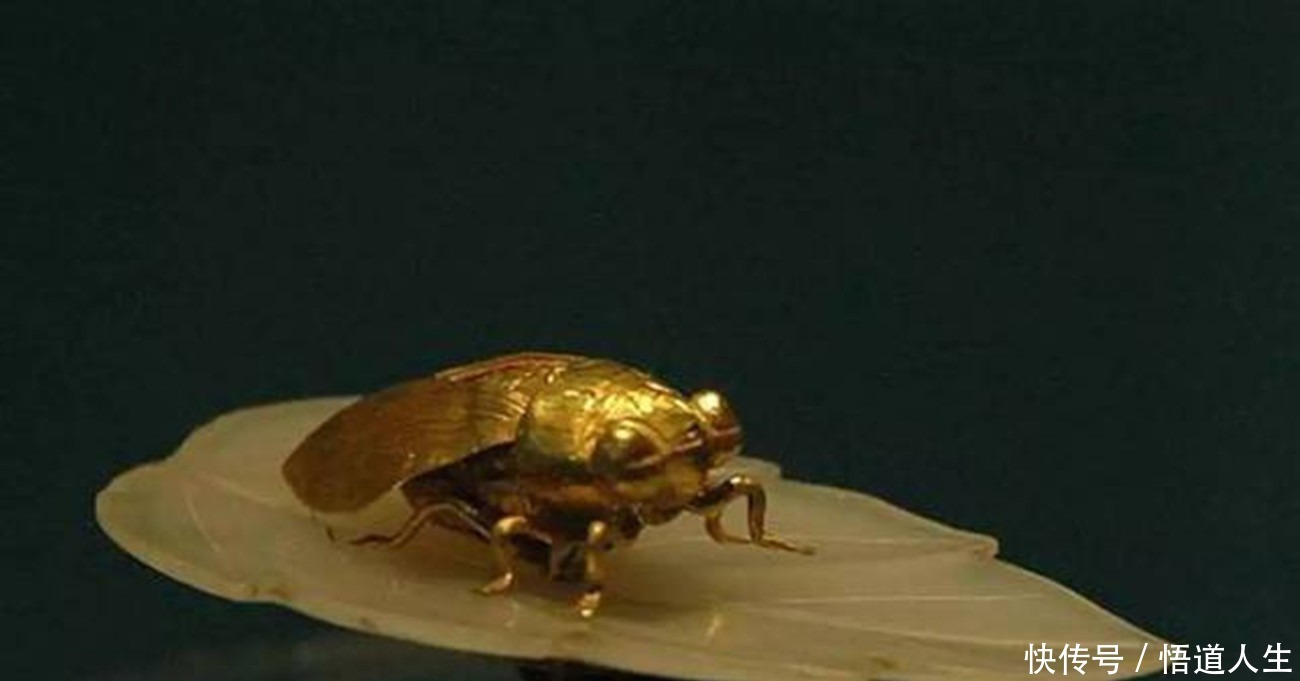 张安晚|明朝古墓出土一文物让专家兴奋不已,终于知道了金枝玉叶的含义