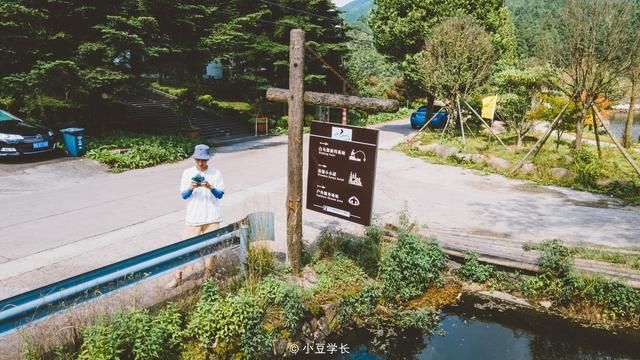 自驾游|周末自驾游，走进遂昌森林氧吧，夏日避暑之地