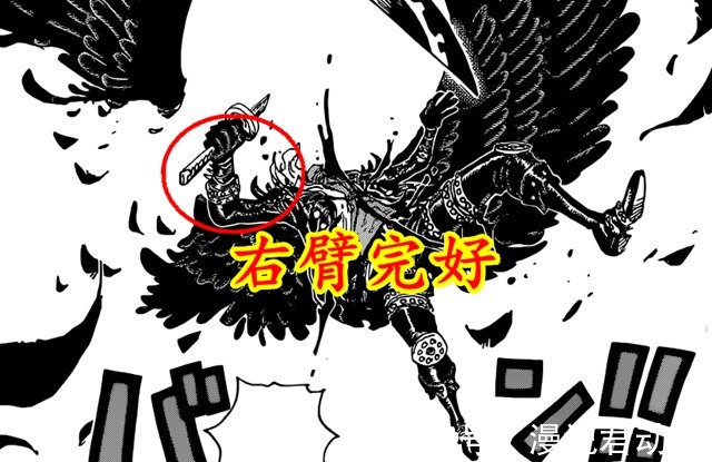 右臂|海贼王1036话:乌龙事件,烬右臂未断,断的是翅膀和刀