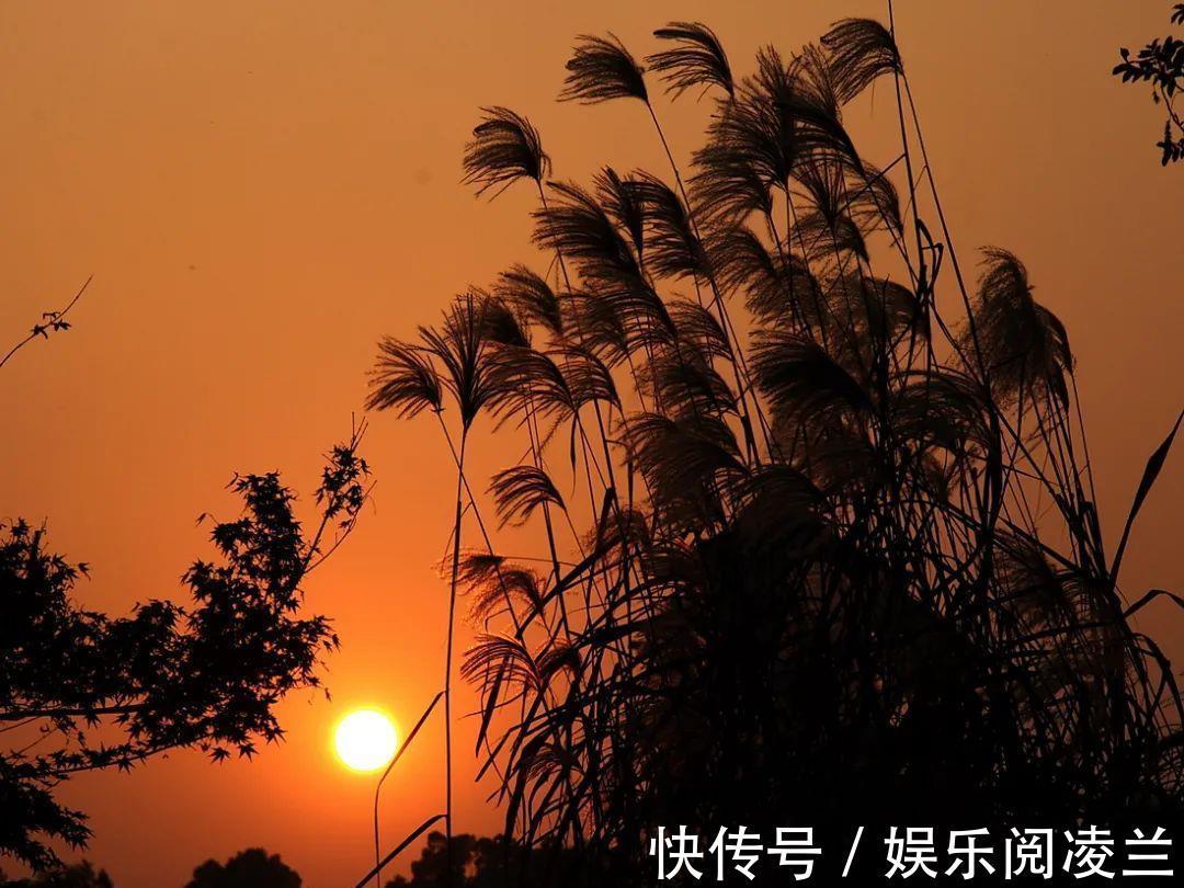 景象&十句秋诗:不叹愁绪,只言秋好!