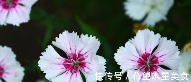 锻炼身体|28岁女孩学游泳锻炼身体，私教教练却百般骚扰，我怕了！