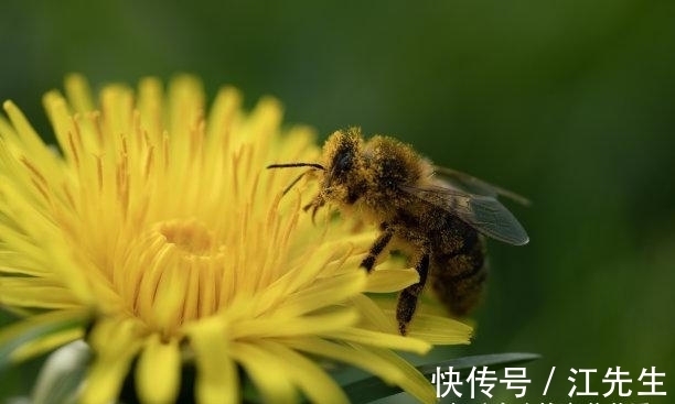 旧爱|初入十月，爱情难忘，睁眼是你，痴心还在，再遇旧爱，彼此珍惜