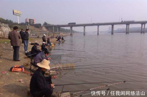 黄金|冬季野钓,不用找到黄金钓点,也能有好鱼获