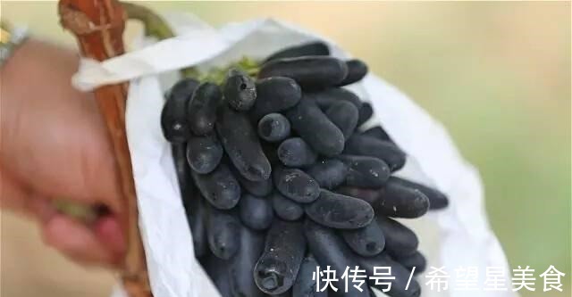 种花|如绿萝般好养的果树,不怕旱不怕晒,营养丰富还好吃!