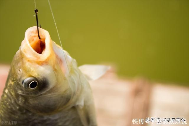 浮漂|鲫鱼都是送漂?谣言!这7种漂相都是鲫鱼吃钩,看你错过多少鱼