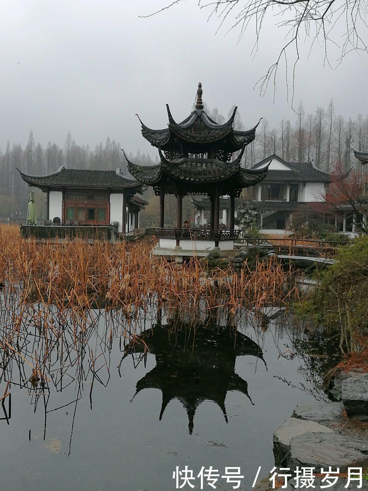 嗅出|冬至将至,谁已嗅出春天的味道