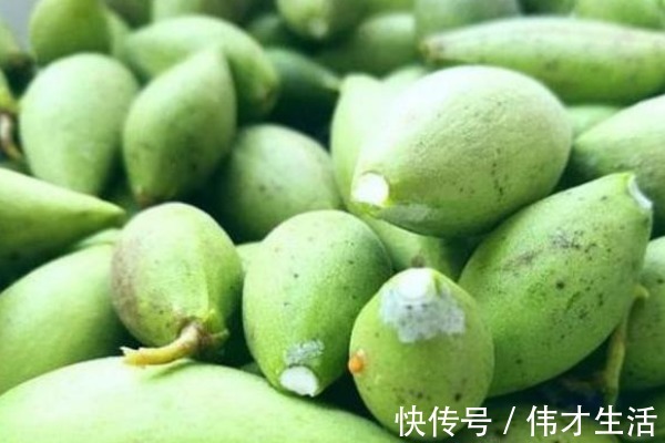 灰灰菜|农村漫山遍野都是的野菜,钙含量堪比牛奶,农村娃从小吃到大