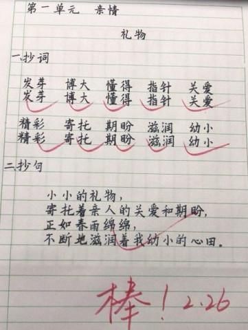 8岁男孩子作业写成印刷体，老师不忍判错，网友学霸就是这样的