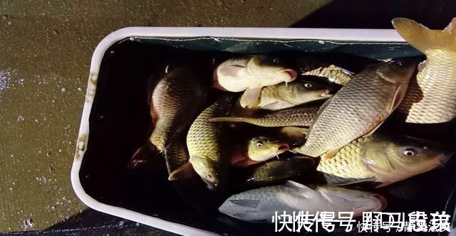 收费鱼塘钓鱼,掌握5个知道,3条垂钓技巧,多钓鱼不难