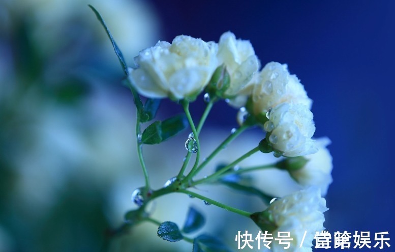 老公|永远不会被抛弃的三大生肖女,年纪越大老公越宠爱,被老公捧手心