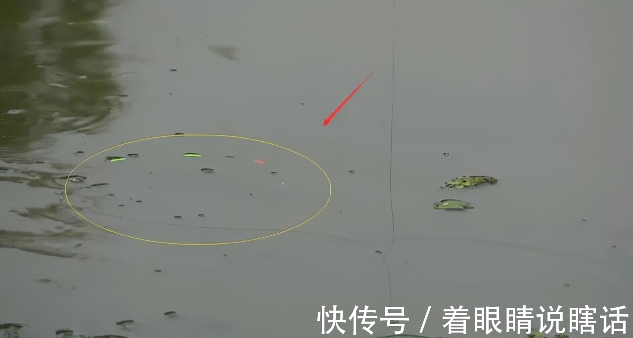 垂钓中长时间看不到鱼口，调整顺序应该是这样的，你做对了吗？