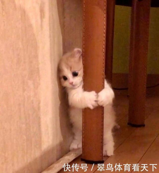 上唇|这些爆款口红求求你们不要买!真心不好用~