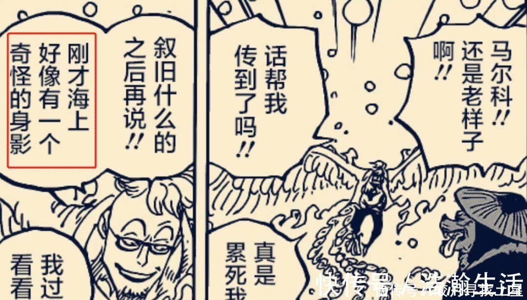 大和|海贼王984话马尔科又将阻止长子,大和曾和艾斯交过手!