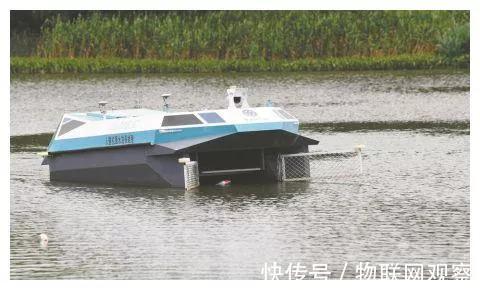 涛思|我见物联多妩媚！物联网联盟会员风采系列之（七十五）