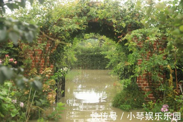 植物|12年搬家13次，43岁的她终于送给女儿3000平米超大花园