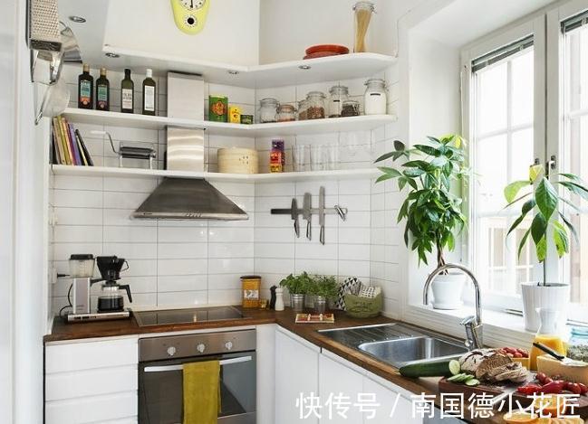 小姑|去上海小姑家蹭饭,一进厨房就懵了,布置得太高级,拍下来照着学