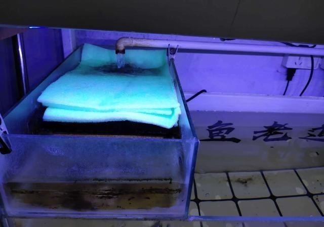 滤棉|鱼缸的滤棉有很多品种,无外乎粗滤、细滤两种,应该如何选择?