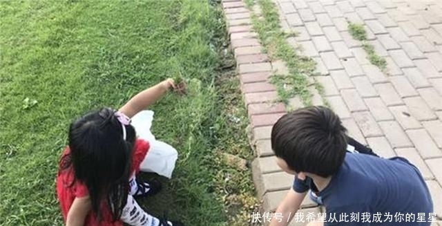 忍无可忍|二胎弟弟“挑衅”姐姐,姐姐忍无可忍撕碎弟弟“骄傲”,网友笑翻