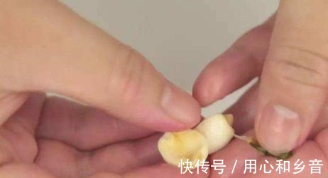 莲子|秋季药膳莲子百合红豆沙!